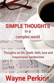 Capa do artigo Simple Thoughts In A Complex World