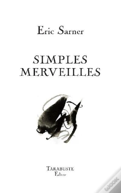 Capa do artigo Simples Merveilles - Eric Sarner
