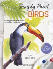 Capa do artigo Simply Paint Birds