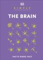 Simply The Brain - Preview