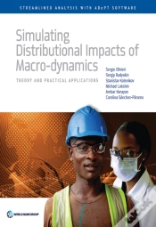 Capa do artigo Simulating Distributional Impacts Of Macro-Dynamics