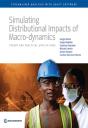 Simulating Distributional Impacts Of Macro-Dynamics - Preview