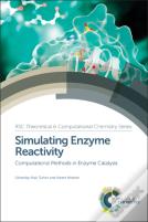 Simulating Enzyme Reactivity