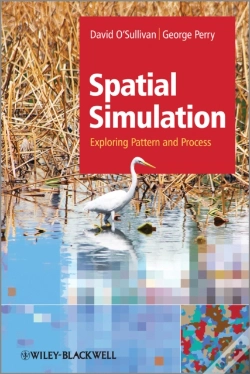 Capa do artigo Simulating Process And Pattern