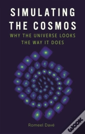 Simulating The Cosmos