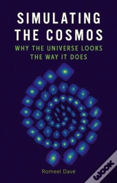Simulating The Cosmos
