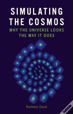 Capa do artigo Simulating The Cosmos
