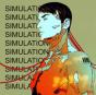 Simulations - Vinil - Preview