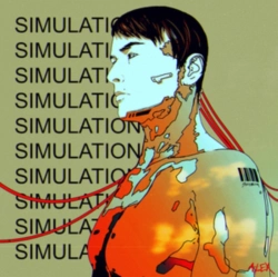 Capa do artigo Simulations - Vinil