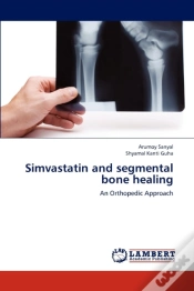 Capa do artigo Simvastatin And Segmental Bone Healing