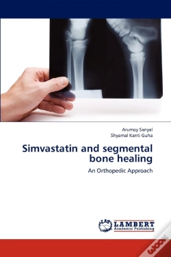 Capa do artigo Simvastatin And Segmental Bone Healing