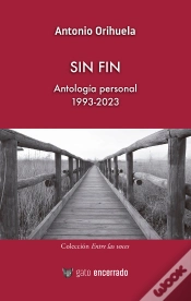 Capa do artigo Sin Fin