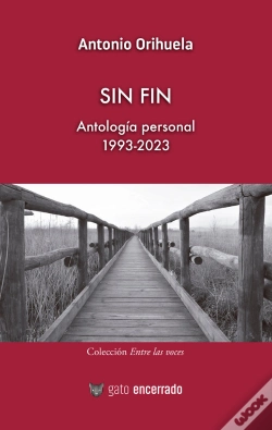 Capa do artigo Sin Fin