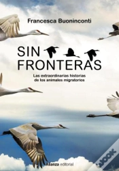 Capa do artigo Sin Fronteras