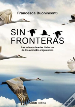 Capa do artigo Sin Fronteras
