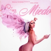 Capa do artigo Sin Miedo - Vinil
