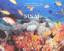 Capa do artigo Sinaï ; Visions De Plongeurs En Mer Rouge