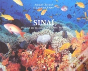 Capa do artigo Sinaï ; Visions De Plongeurs En Mer Rouge