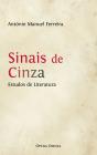 Sinais de Cinza - Preview
