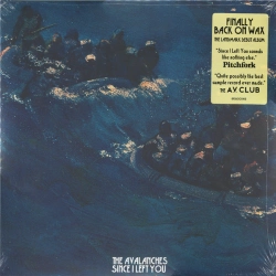Capa do artigo Since I Left You - Vinil