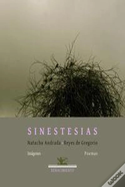 Capa do artigo Sinestesias