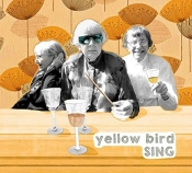Capa do artigo Sing - CD