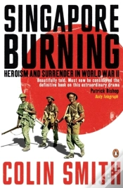 Capa do artigo Singapore Burning