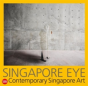Singapore Eye - Preview