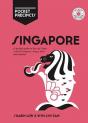 Singapore Pocket Precincts - Preview