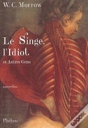 Capa do artigo Singe, L