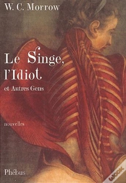 Capa do artigo Singe, L'Idiot Et Autres Gens