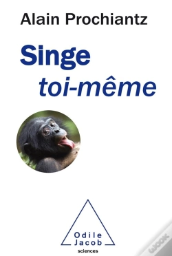 Capa do artigo Singe Toi-Meme