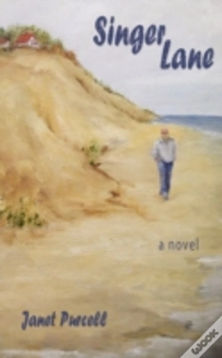 Capa do artigo Singer Lane