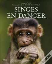 Capa do artigo Singes En Danger