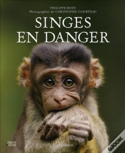 Capa do artigo Singes En Danger