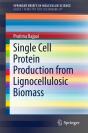 Single Cell Protein Production From Lignocellulosic Biomass - Preview