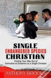 Capa do artigo Single Christian; Endangered Species