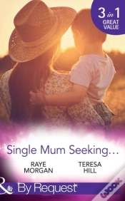 Capa do artigo Single Mum Seeking...