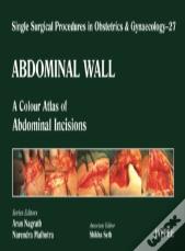 Single Surgical Procedures In Obstetrics And Gynaecology - Volume 27 - Abdominal Wall