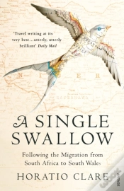 Capa do artigo Single Swallow