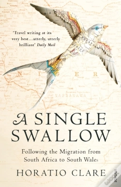 Capa do artigo Single Swallow