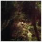 Sings Again - Vinil - Preview
