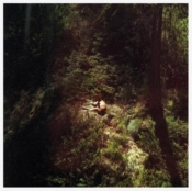 Capa do artigo Sings Again - Vinil