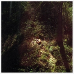 Capa do artigo Sings Again - Vinil