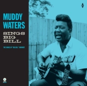 Capa do artigo Sings Big Bill - Vinil