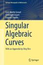 Singular Algebraic Curves - Preview