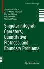 Singular Integral Operators, Quantitative Flatness, And Boundary Problems - Preview