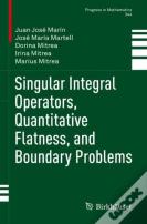 Singular Integral Operators, Quantitative Flatness, And Boundary Problems