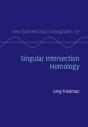 Singular Intersection Homology - Preview