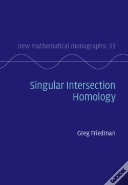 Capa do artigo Singular Intersection Homology